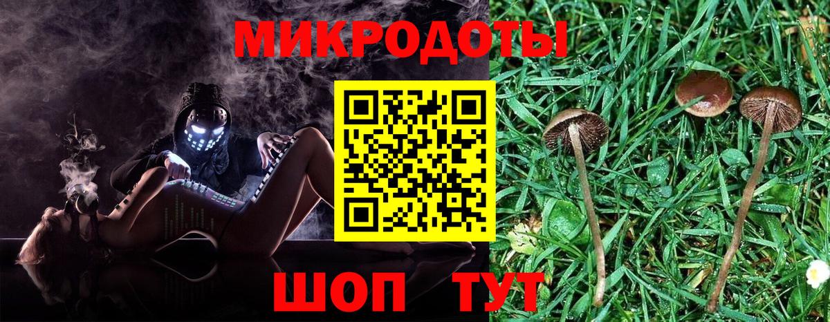 Гусь-Хрустальный  Псилоцибиновые грибы Psilocybine cubensis  Вход с VPN 