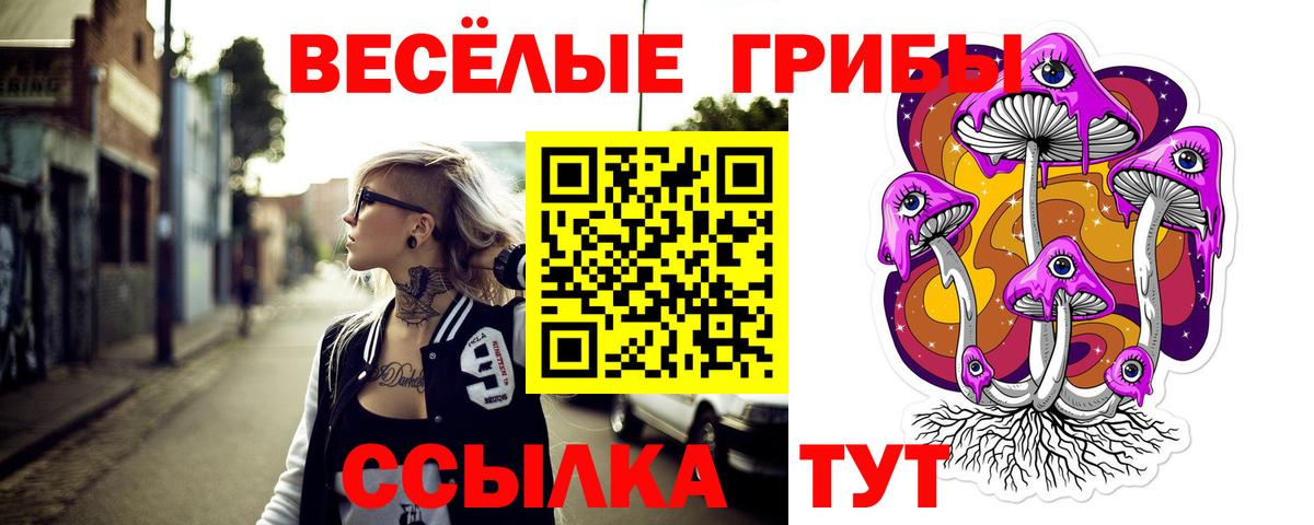 Галлюциногенные грибы MAGIC MUSHROOMS Гусь-Хрустальный